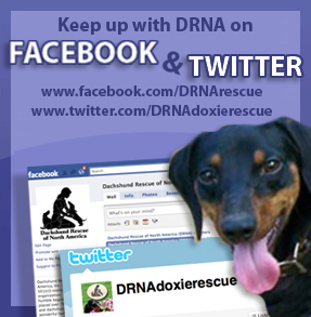 Keep up with DRNA on Facebook and Twitter