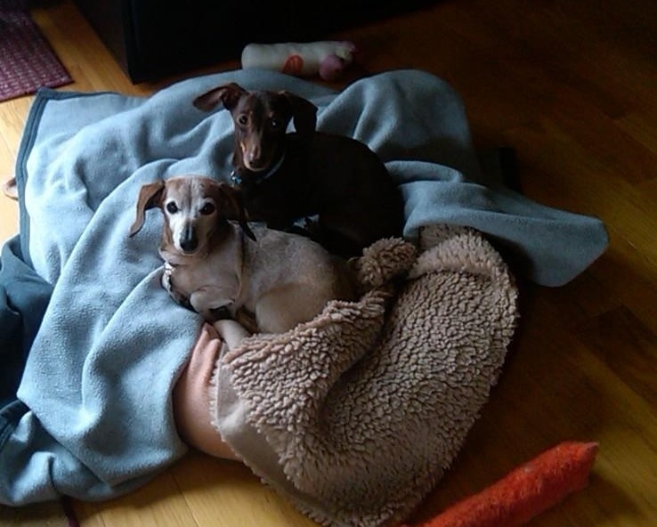 Peet and Lu sunning
