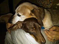 Peet and Lu