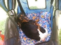 Elke in stroller