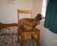 Barkley longlng