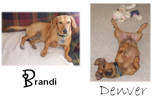 Brandi and Denver