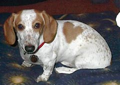 Opie